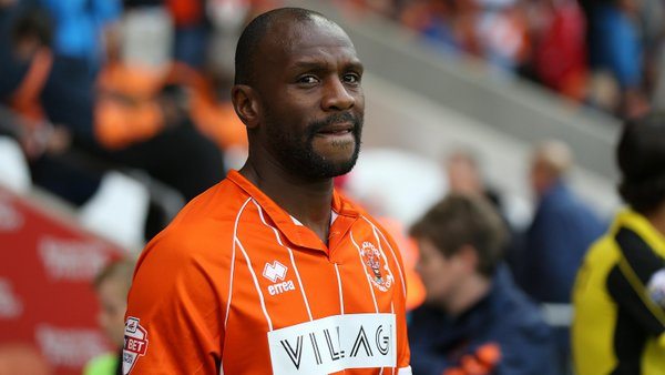 Kwiat wśród paździerzy, czyli gwiazdy słabych kadr (cz. 3)