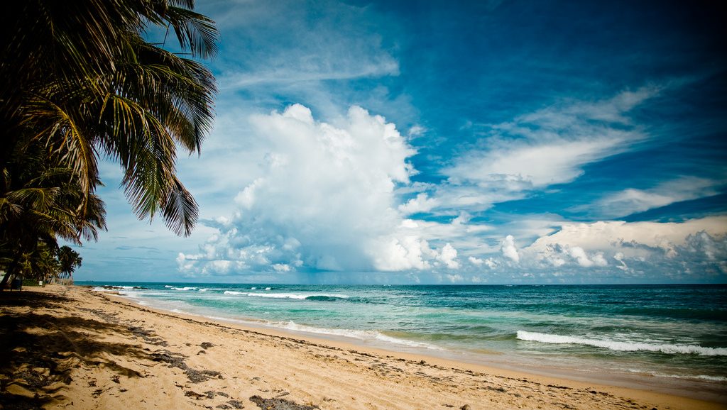 Największe talenty świata – Karaiby