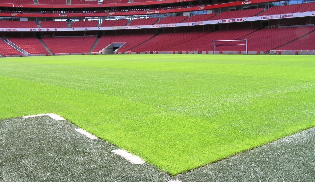 Wszystko, co chciałbyś wiedzieć o piłkarskiej murawie. Kulisy pracy groundsmanów