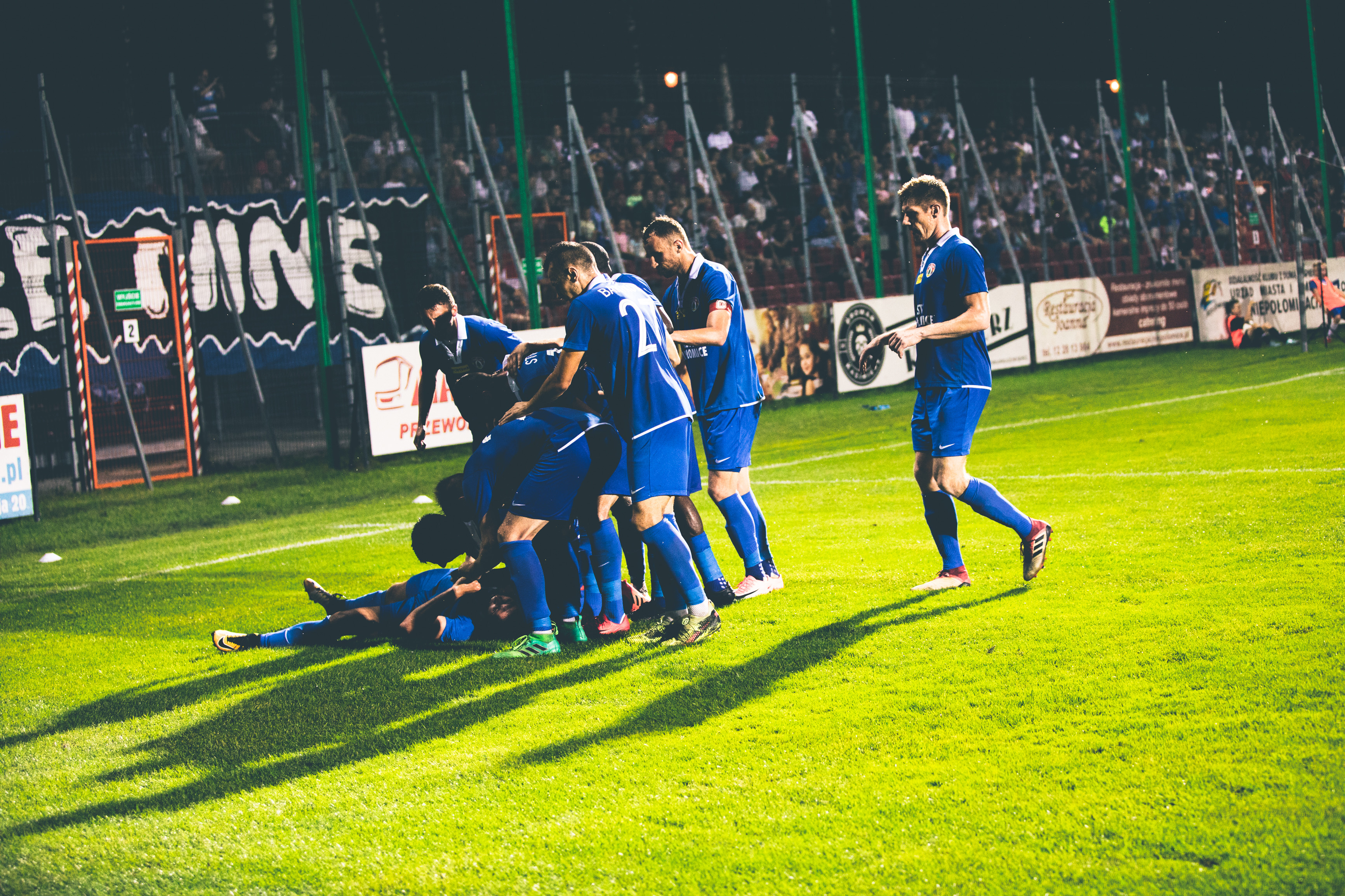 Puszcza Niepołomice – stabilizacja ponad wszystko