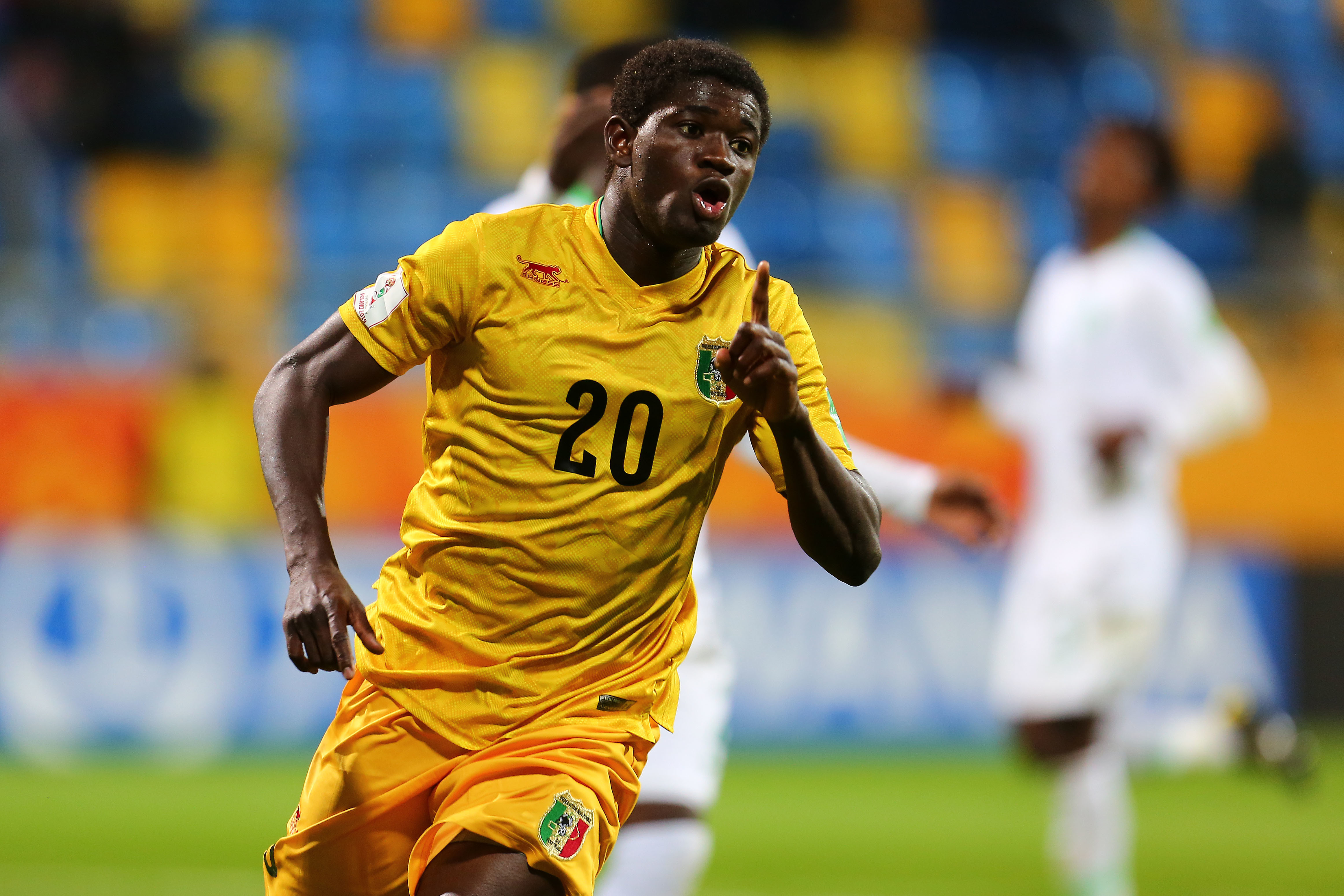 Czarny koń z Afryki