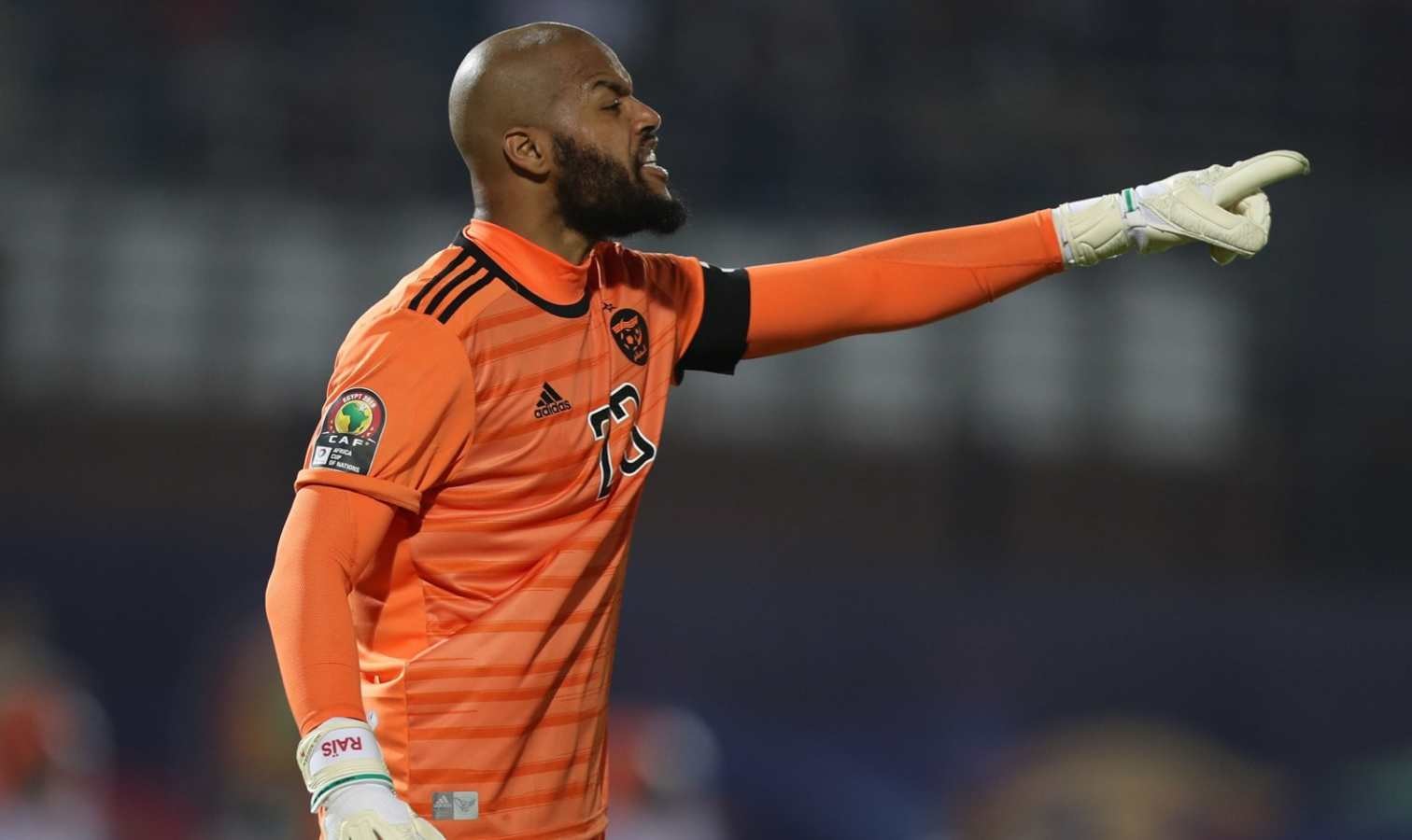 Najlepsza jedenastka PNA 2019