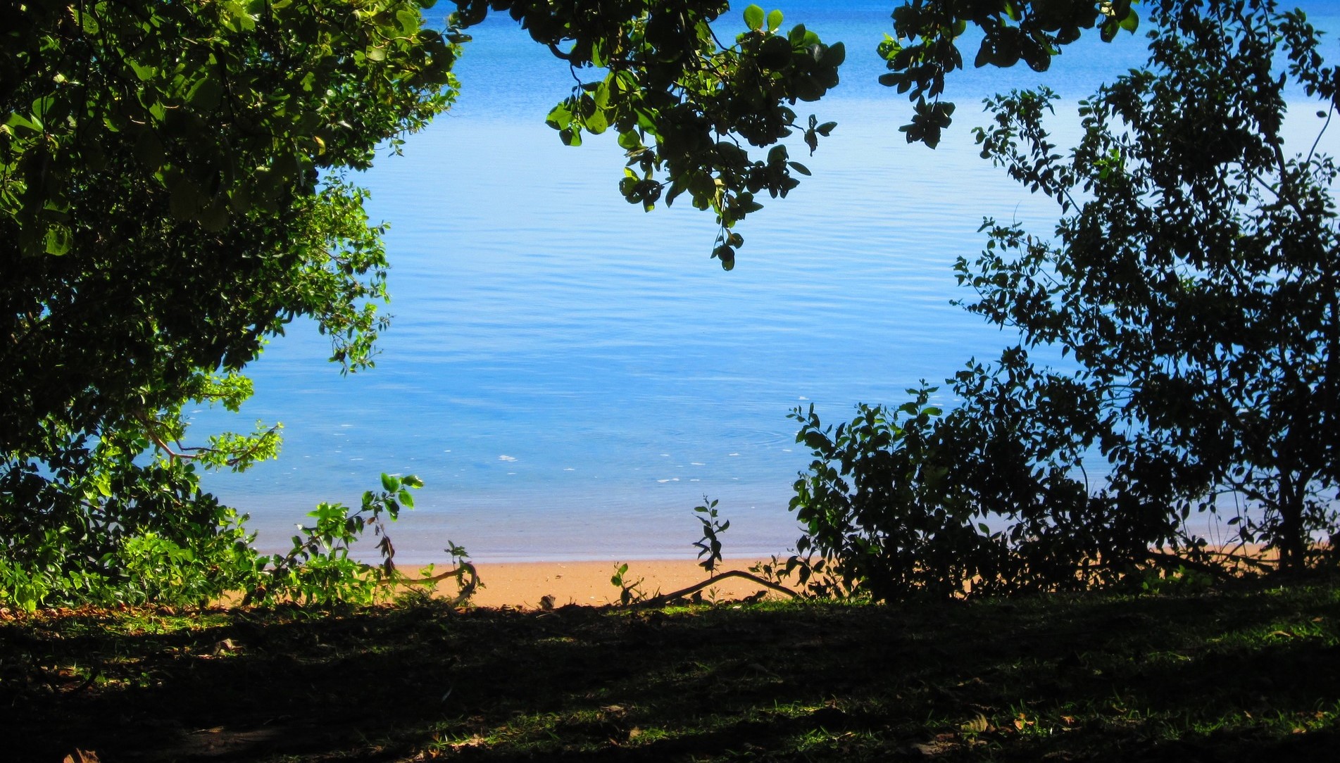 Tam też kopią: Nowa Kaledonia