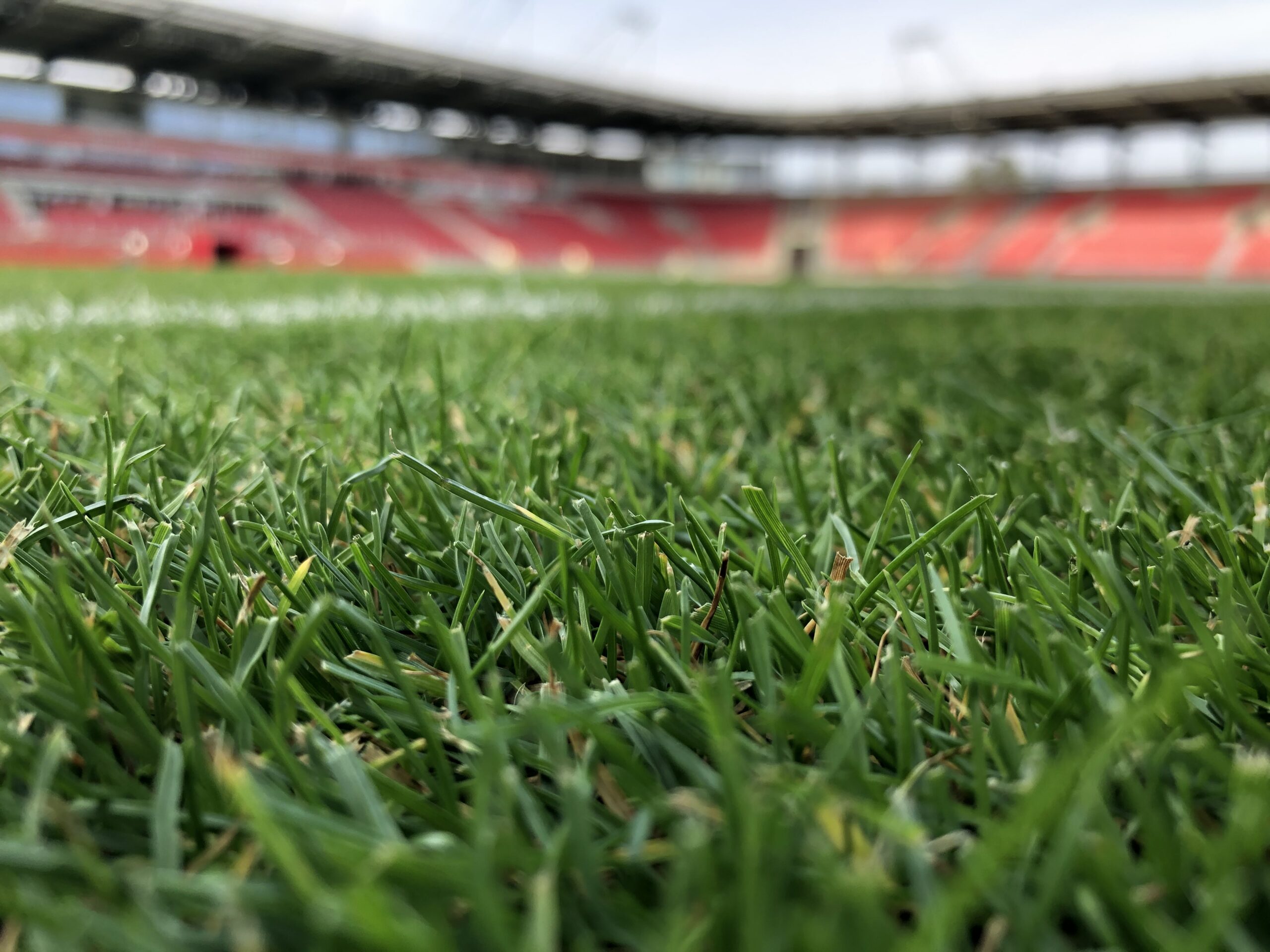 Ludzie od trawki, czyli jak w Polsce pracują groundsmani (WYWIAD)