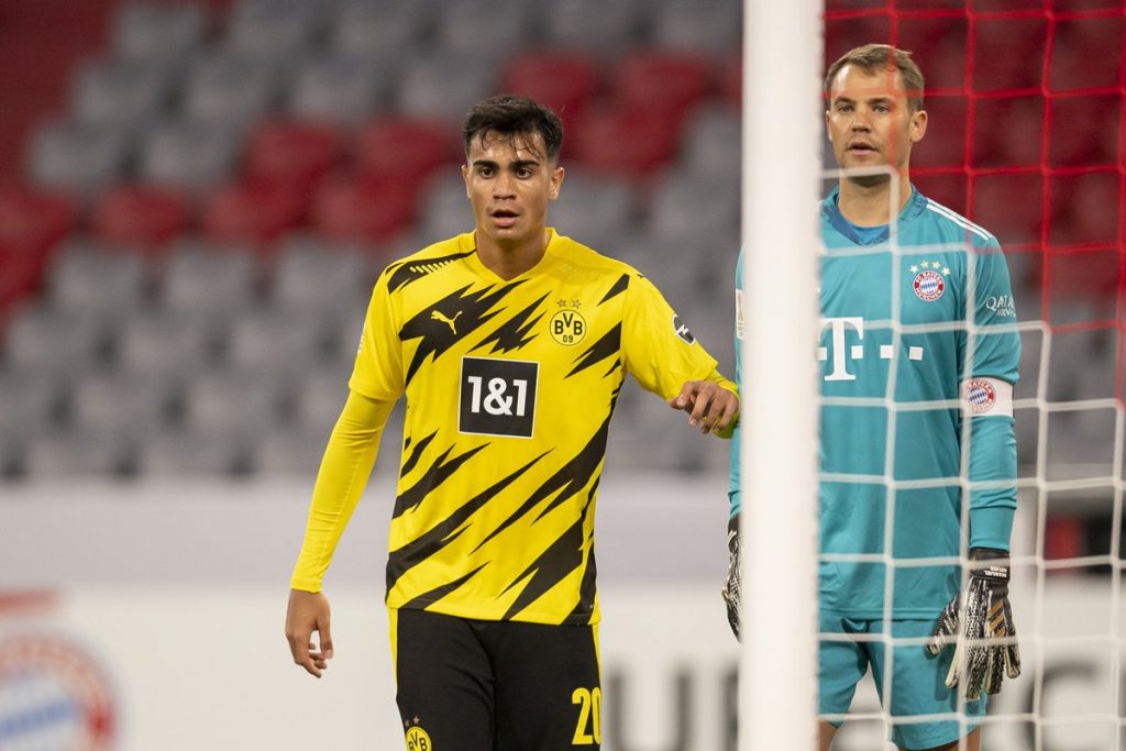 Reinier – kanarek, który nie potrafi śpiewać