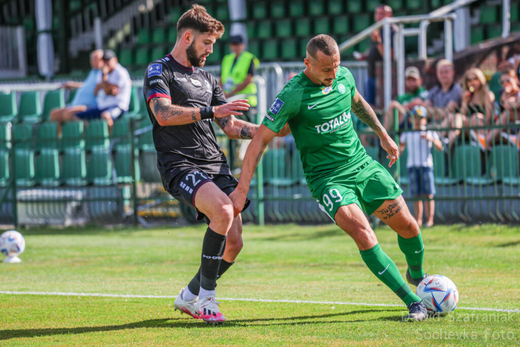 Łyżka dziegciu w beczce miodu – Warta Poznań ma problemy w spotkaniach z czołówką ligi