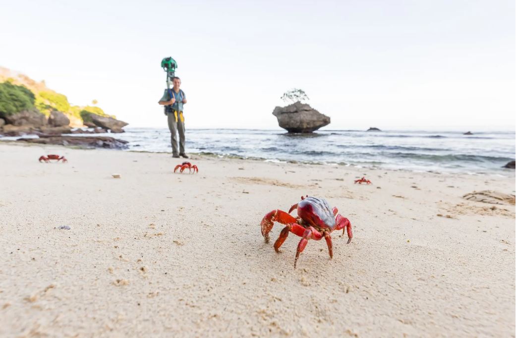 Wyspa Bożego Narodzenia – piłka na wyspie czerwonych krabów