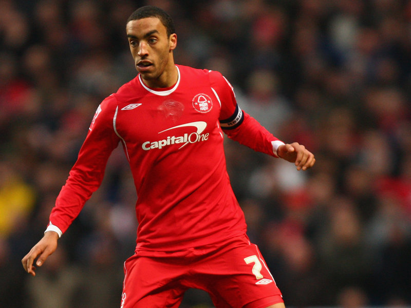 Perch nowym zawodnikiem Srok