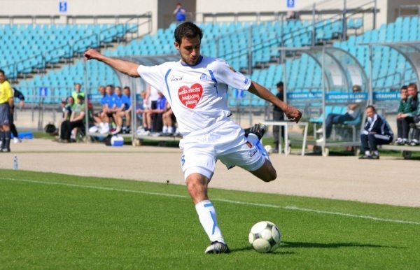 Ruch lepszy w debrach Śląska