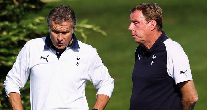 Kogut z podniesionym łbem